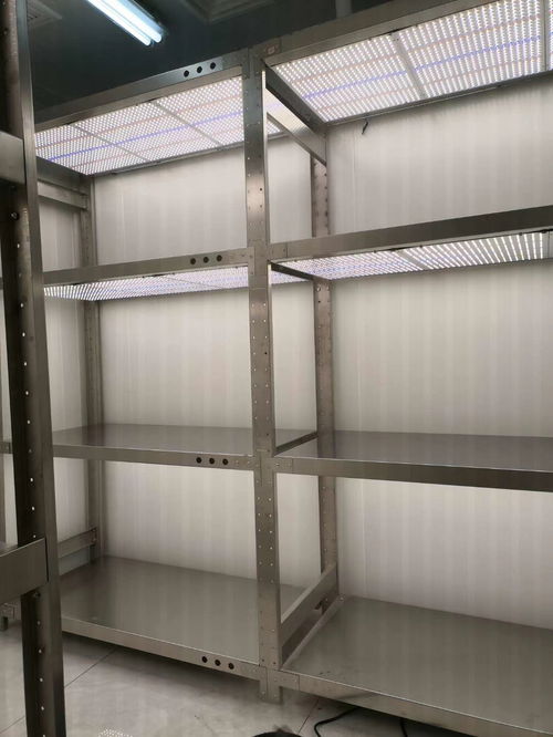 不銹鋼組培架、栽培架與掛包架 應用與優勢解析