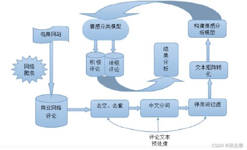 基于Python文本挖掘的電商產品評論數(shù)據(jù)情感分析報告 數(shù)據(jù)處理與存儲服務