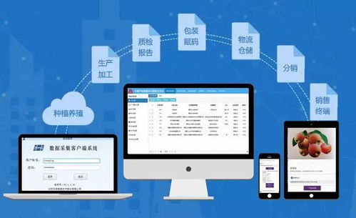 兆信股份 溯源為何離不開(kāi)物聯(lián)網(wǎng)與物聯(lián)網(wǎng)技術(shù)服務(wù)